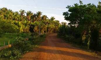 Imagem 7: Terreno para sitio