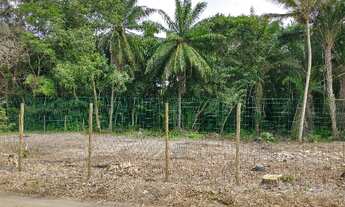 Imagem 6: Terreno litoral norte de Ilhéus a 150 mts da praia com energia elétrica