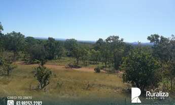 Imagem 4: Fazenda com dupla aptidão em Almas - TO