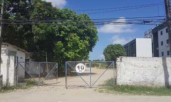 Imagem: Lote/Terreno para aluguel e venda possui