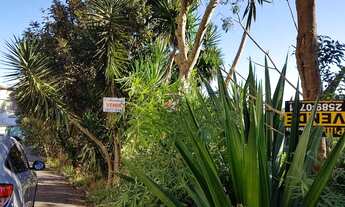 Imagem 3: Terrenos - Jaraguá