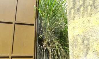 Imagem 7: São Paulo - Terreno Padrão - VILA IRMÃOS ARNONI