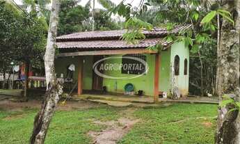 Imagem 5: Fazenda no Pará - Acará - 42 ha (8 alq