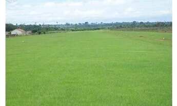 Imagem: Rondolandia-MT.Fazenda TOP com 149.132 Hectares.Porteira