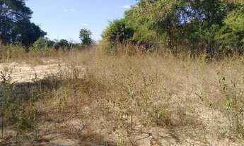 Imagem 5: Chacara em Jaraguá 130km de Goiana 105km d Anápolis na beira do rio chacaras d 20.000