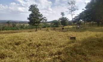 Imagem 3: Chácara em Aragoiania de 1000 metros a 25 km de Aparecida de Goiania chacaras