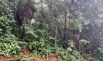 Imagem 4: Nova Lima - Loteamento/Condomínio - Bosque Da Ribeira