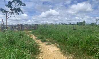 Imagem 5: Fazenda Em Cruzeiro do Sul