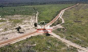 Imagem 2: Fazenda no Sul do Maranhão para Soja. (2.965 Há