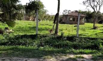 Imagem 4: Porto Alegre - Terreno Padrão - Lageado