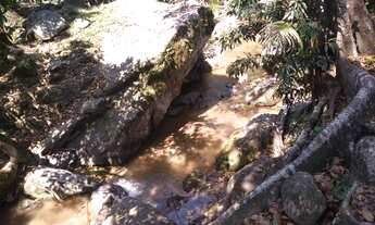 Imagem 3: Oportunidade em Sampaio Correia - sitio no Mato Grosso