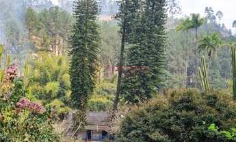 Imagem 2: Sítio exuberante em Marechal Floriano!