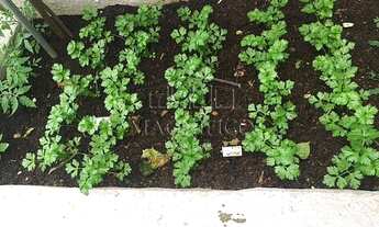 Imagem 4: São Paulo - Apartamento Padrão - Vila Mariana