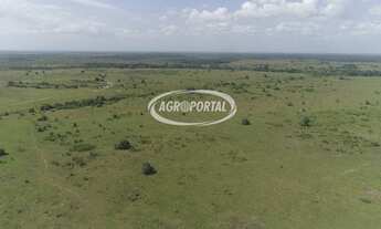 Imagem 5: Fazenda no Pará - Viseu - 6648 ha (1373 alq