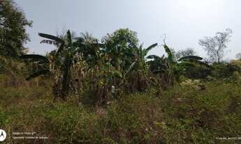 Imagem 5: Chácara venda 5Ha São Gerônimo