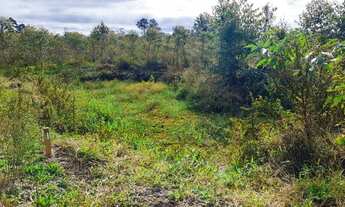 Imagem 4: Chácaras de fácil acesso e valor super em conta !!