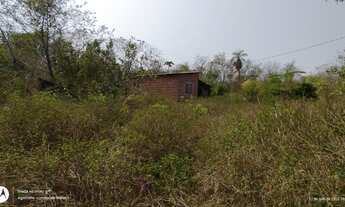 Imagem 6: Chácara venda 5Ha São Gerônimo