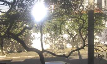 Imagem 6: SÃO PAULO - Casa Padrão - VILA MONUMENTO