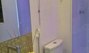 Imagem 7: Bougainville- Jabotiana