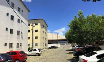 Imagem 3: DNI 0225 VENDO APARTAMETO 2 QUARTOS TERRIO EM JARDIM LIMOEIRO