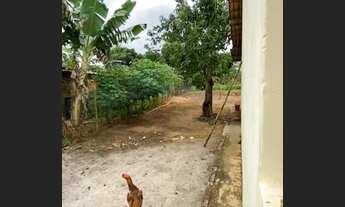 Imagem 2: Vende-se casa Casa com 2 dormitórios