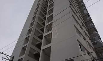 Imagem 4: Araçatuba - Apartamento - São João