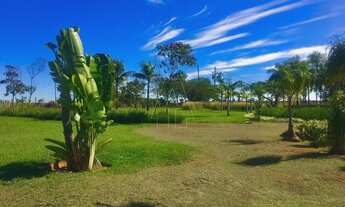 Imagem 2: Bilac - Fazenda/Sítio - Imbé