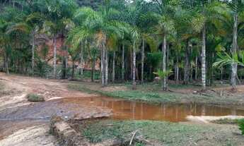 Imagem 2: Vendo sitio em Santa Leopoldina com poço de peixE