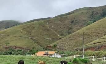 Imagem 4: Fazenda- venda - Rio Claro - RJ