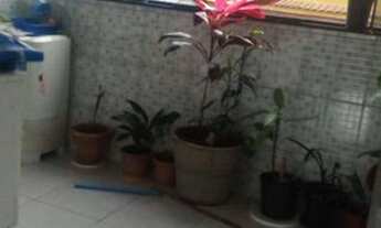 Imagem: Casa com 2 dormitórios para alugar, 60