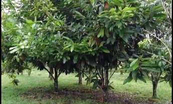 Imagem 2: Aluga-se Casa com 2 dormitórios