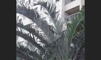 Imagem 2: Giardini de Padova 56m² 3 quartos, 1 suíte, 1 vada, 2 banheiros