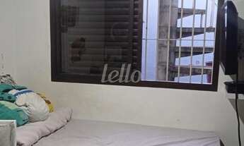 Imagem 3: São Paulo - Casa Padrão - Cursino