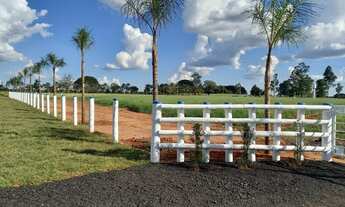 Imagem 7: Chácaras de 20 Mil metros