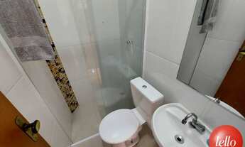 Imagem 4: São Paulo - Casa Padrão - Penha