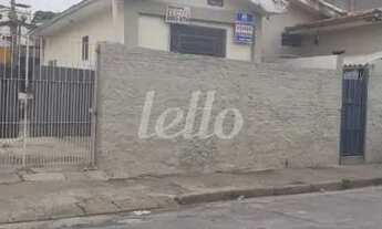 Imagem 4: São Paulo - Terreno Padrão - Mandaqui