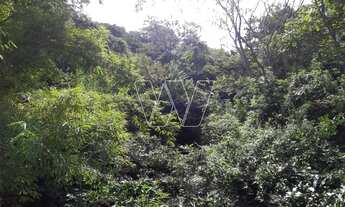 Imagem 7: Terreno - Colinas do Ermitage (Sousas) - Campinas