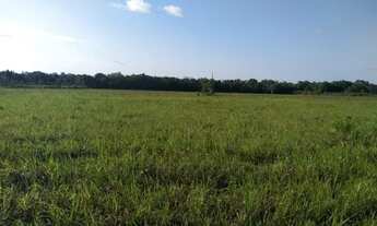 Imagem 3: A,Moura gestor Imobiliário-Vende 1 Belíssima Chacara 37ha Documentada em Vigia de Nazaré