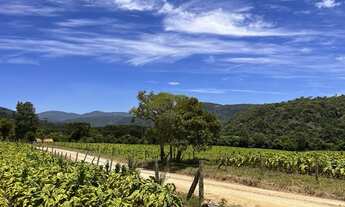 Imagem 6: Área Rural 9,5 hectares/ Imóvel Rural