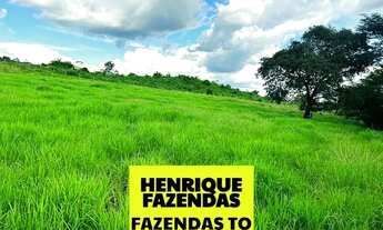 Imagem 6: Fazenda de cultura oportunidade região Paraíso Tocantins ....