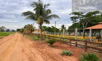 Imagem 10: ML FAZENDAS - FAZ 151 Fazenda em Cassilândia / MS 6.692,43 Hect