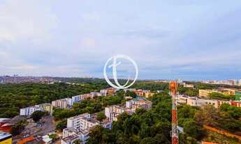 Imagem 2: Salvador - Apartamento Padrão - Stiep