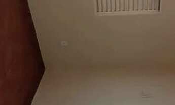 Imagem 4: Aluga-se casa no gama