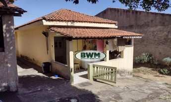 Imagem 5: Terreno jardim simus