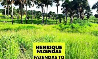 Imagem 5: Fazenda de cultura oportunidade região Paraíso Tocantins ....