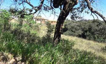 Imagem 6: Ibiuna - Bunjiro Akano km 65