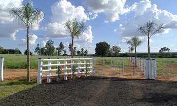 Imagem 2: Chácaras de 20 Mil metros