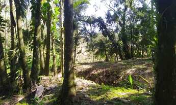 Imagem 2: Vendo Linda Área com Fundos para Rio Nhumdiaquara em Morretes