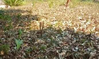 Imagem 3: Aluga-se Casa com 2 dormitórios