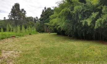 Imagem 4: área para aluguel em Sítio Recreio dos Cafezais